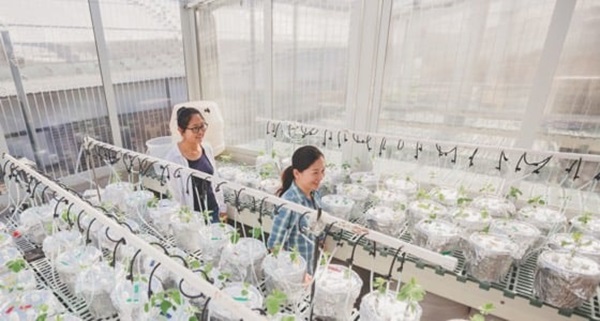 people in a lab